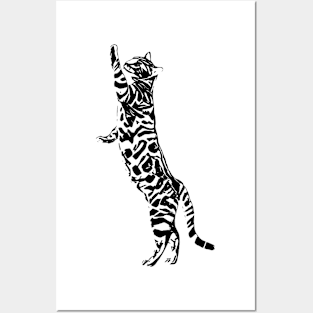 Cat Posters and Art